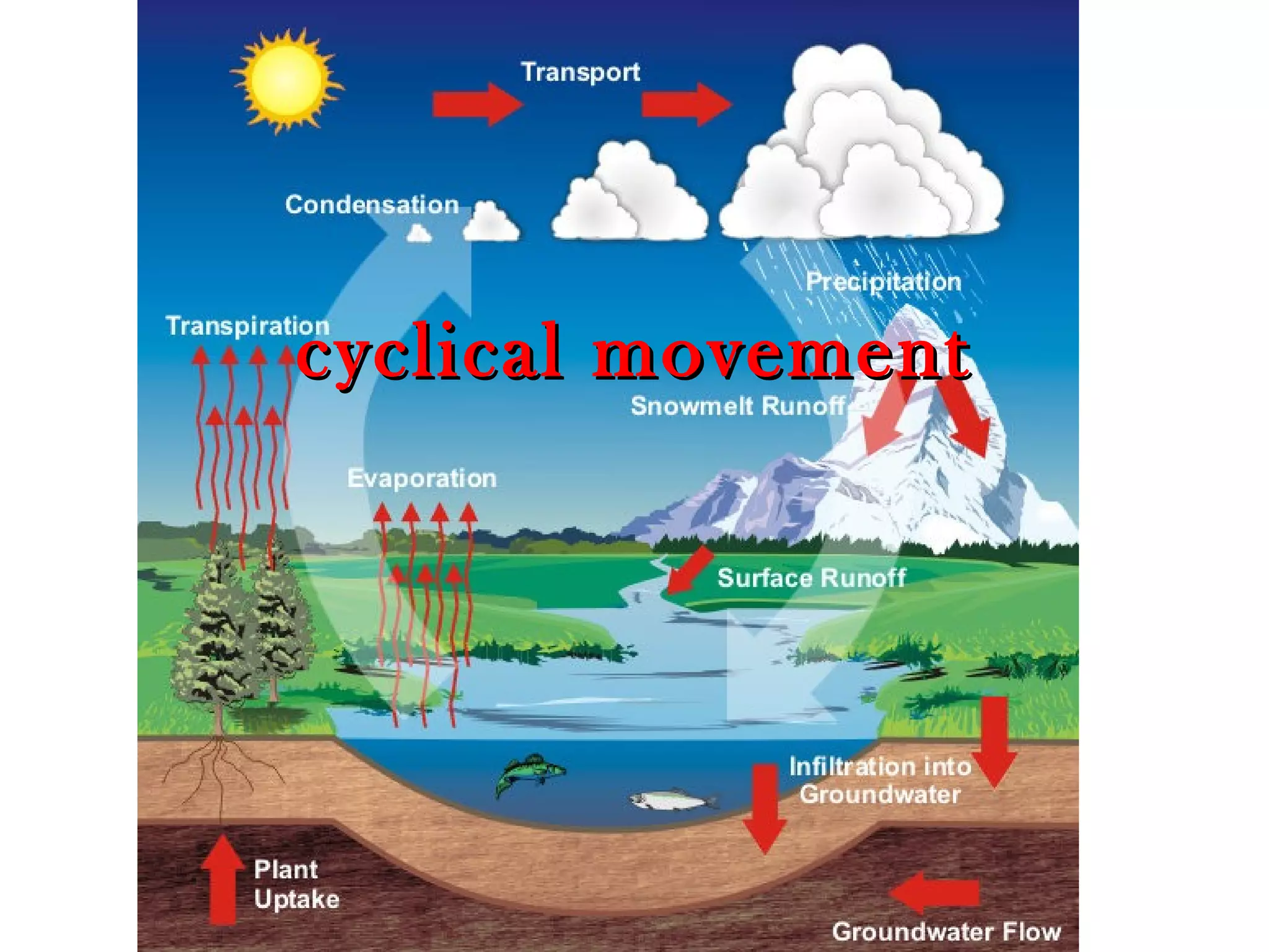 ccyycclliiccaall mmoovveemmeenntt 
 