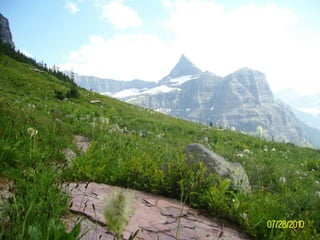 Waterton-Glacier 2010