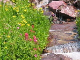 Waterton-Glacier 2010