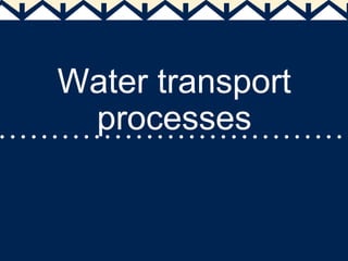 Water transport
processes
 