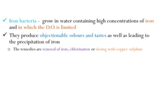  Iron bacteria - grow in water containing high concentrations of iron
and in which the D.O.is limited
 They produce objectionable odours and tastes as well as leading to
the precipitation of iron
o The remedies are removal of iron, chlorination or dosing with copper sulphate
 