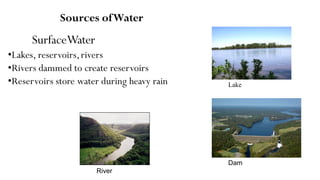 Sources ofWater
SurfaceWater
•Lakes, reservoirs,rivers
•Rivers dammed to create reservoirs
•Reservoirs store water during heavy rain
River
Lake
Dam
 