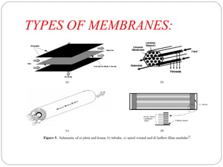 TYPES OF MEMBRANES: 
 