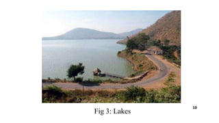 Fig 3: Lakes
10
 
