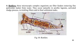 4. Rotifers: these microscopic complex organisms are filter feeders removing fine
particulate matter from water. They occur naturally in aerobic lagoons, activated
sludge process, in trickling filters and in final settlement tanks.
Fig 10: Rotifers
22
 