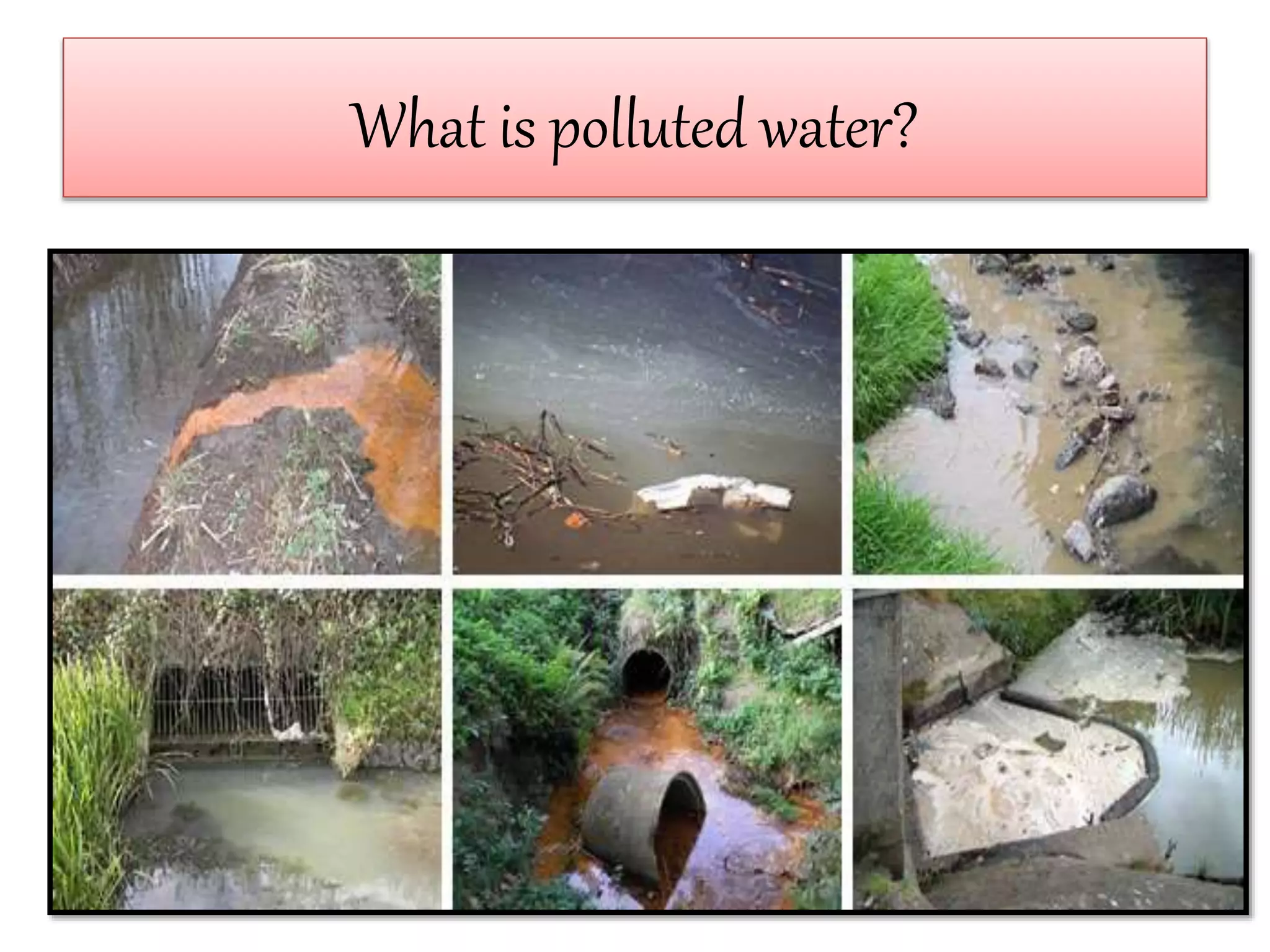 What is polluted water?