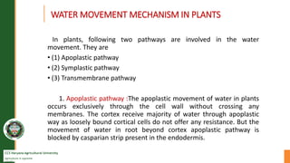 CCS Haryana Agricultural University
Agriculture is supreme
wealth
WATER MOVEMENT MECHANISM IN PLANTS
In plants, following two pathways are involved in the water
movement. They are
• (1) Apoplastic pathway
• (2) Symplastic pathway
• (3) Transmembrane pathway
1. Apoplastic pathway :The apoplastic movement of water in plants
occurs exclusively through the cell wall without crossing any
membranes. The cortex receive majority of water through apoplastic
way as loosely bound cortical cells do not offer any resistance. But the
movement of water in root beyond cortex apoplastic pathway is
blocked by casparian strip present in the endodermis.
 