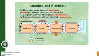 CCS Haryana Agricultural University
Agriculture is supreme
wealth
 
