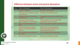 CCS Haryana Agricultural University
Agriculture is supreme
wealth
Difference between active and passive absorption
28
 