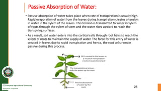 CCS Haryana Agricultural University
Agriculture is supreme
wealth
Passive Absorption of Water:
• Passive absorption of wat...
