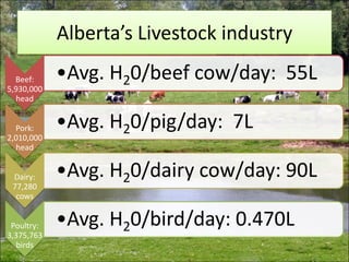 Alberta’s Livestock industry
Beef:
5,930,000
head
Pork:
2,010,000
head
Dairy:
77,280
cows

Poultry:
3,375,763
birds

•Avg. H20/beef cow/day: 55L
•Avg. H20/pig/day: 7L

•Avg. H20/dairy cow/day: 90L
•Avg. H20/bird/day: 0.470L

 