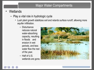 10
• Wetlands
– Play a vital role in hydrologic cycle
• Lush plant growth stabilizes soil and retards surface runoff, allowing more
aquifer infiltration.
Major Water Compartments
– Disturbance
reduces natural
water-absorbing
capacity, resulting
in floods and
erosion in wet
periods, and less
water flow the rest
of the year.
– Half of U.S.
wetlands are gone.
 