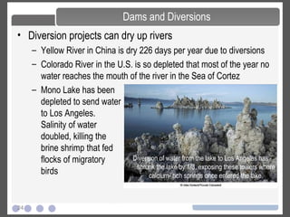24
• Diversion projects can dry up rivers
– Yellow River in China is dry 226 days per year due to diversions
– Colorado River in the U.S. is so depleted that most of the year no
water reaches the mouth of the river in the Sea of Cortez
Dams and Diversions
– Mono Lake has been
depleted to send water
to Los Angeles.
Salinity of water
doubled, killing the
brine shrimp that fed
flocks of migratory
birds
Diversion of water from the lake to Los Angeles has
shrunk the lake by 1/3, exposing these towers where
calcium- rich springs once entered the lake.
 