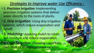 Water Use Efficiency and mineral and role | PPTX