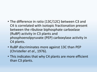• The difference in ratio (13C/12C) between C3 and
C4 is correlated with isotopic fractionation present
between the ribulose biphosphate carboxlase
(RuBP) activity in C3 plants and
phosphoenolpyruvate (PEP) carboxylase activity in
C4 plants.
• RuBP discriminates more against 13C than PEP
(Christeller et al., 1976).
• This indicates that why C4 plants are more efficient
than C3 plants.
 