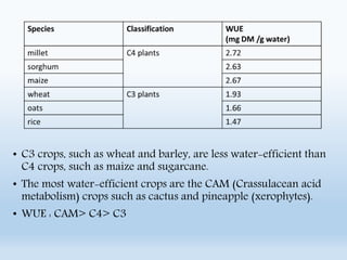 Water use efficiency in plants | PPTX | Agriculture | Industries