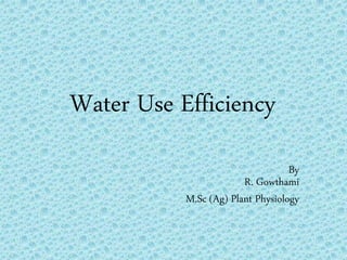 Water Use Efficiency
By
R. Gowthami
M.Sc (Ag) Plant Physiology
 