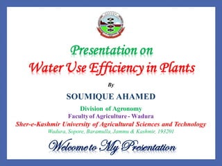 Presentation on
Water Use Efficiency in Plants
By
SOUMIQUE AHAMED
Division of Agronomy
Facultyof Agriculture - Wadura
Sher-e-Kashmir University of Agricultural Sciences and Technology
Wadura, Sopore, Baramulla, Jammu & Kashmir, 193201
Welcometo My Presentation
 