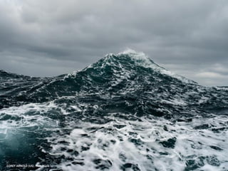 COREY ARNOLD (US) . Fish Work
 