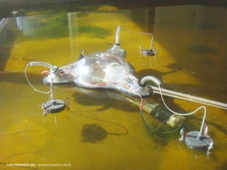 IVAN HENRIQUES (BE) . Symbiotic Machine (2014)
 