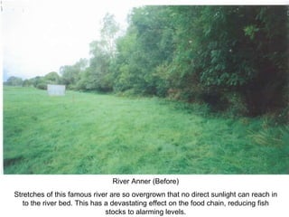 River Anner (Before) Stretches of this famous river are so overgrown that no direct sunlight can reach in to the river bed. This has a devastating effect on the food chain, reducing fish stocks to alarming levels. 