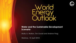 © OECD/IEA 2017
Water and the Sustainable Development
Scenario
Molly A. Walton, Tim Gould and Andrew Prag
Webinar, 10 April 2018
 