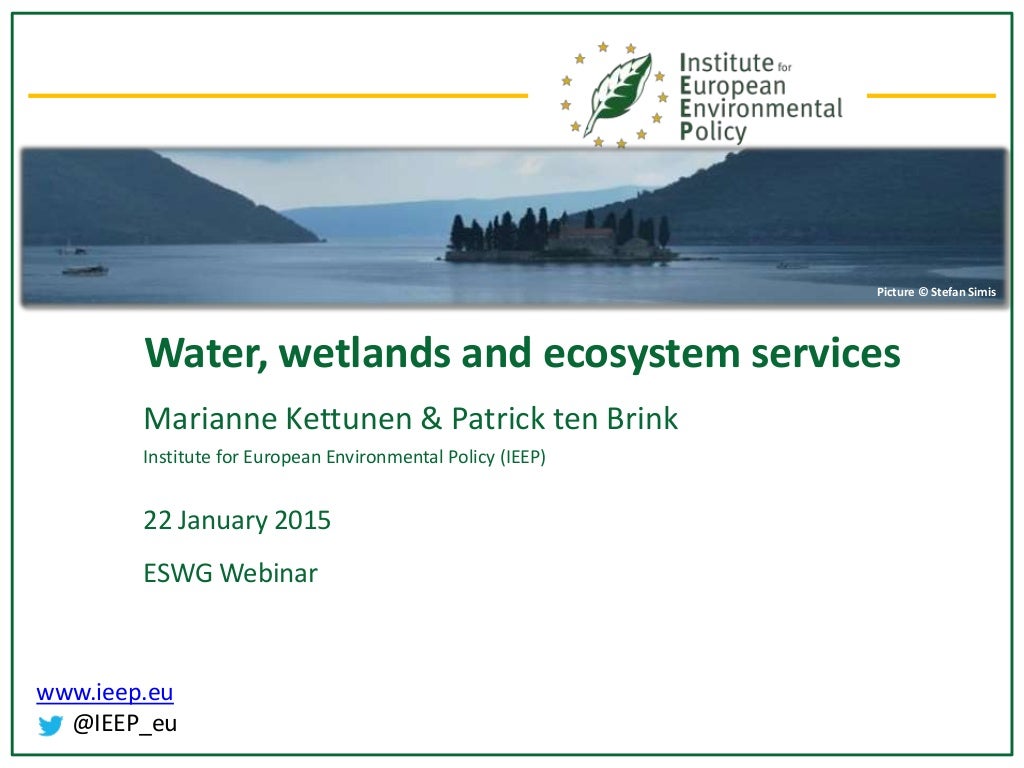 Water wetlands ecosystem services