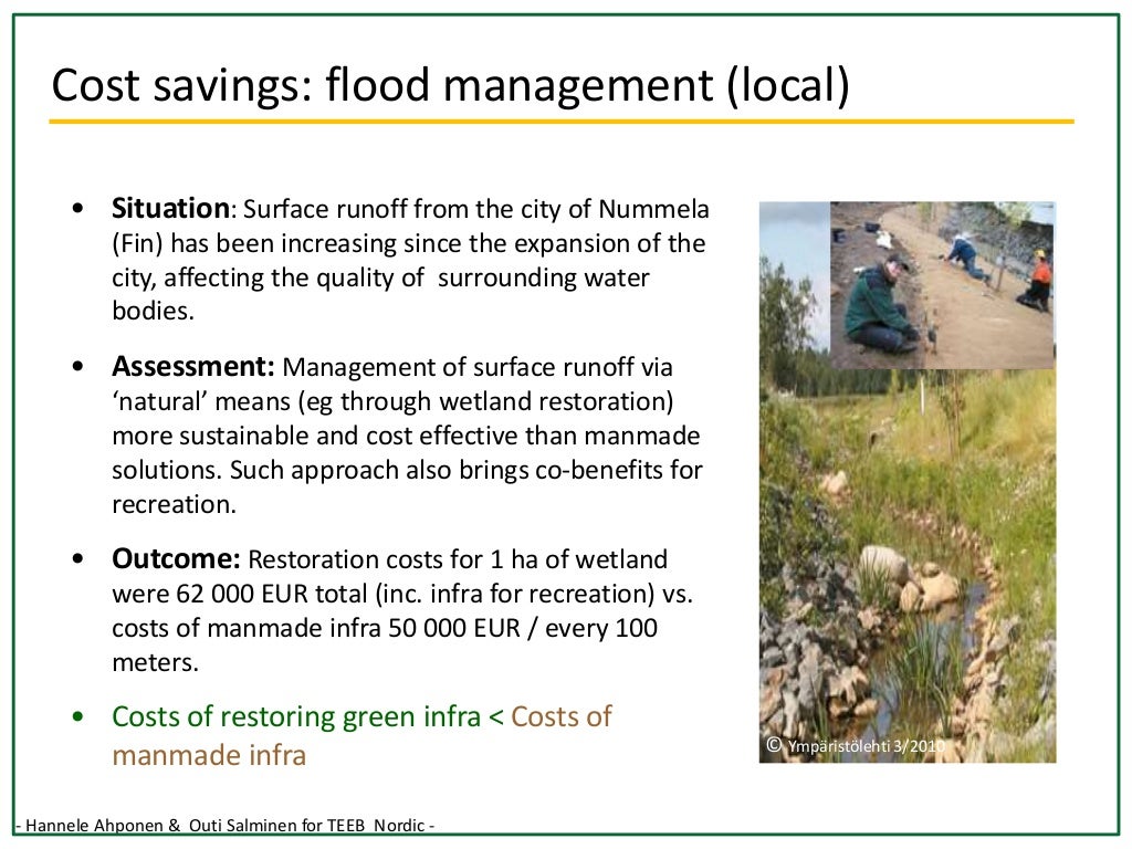 Water wetlands ecosystem services