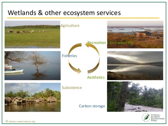 Natural Vs Man Made Wetlands Natural Vs Man Made Wetlands