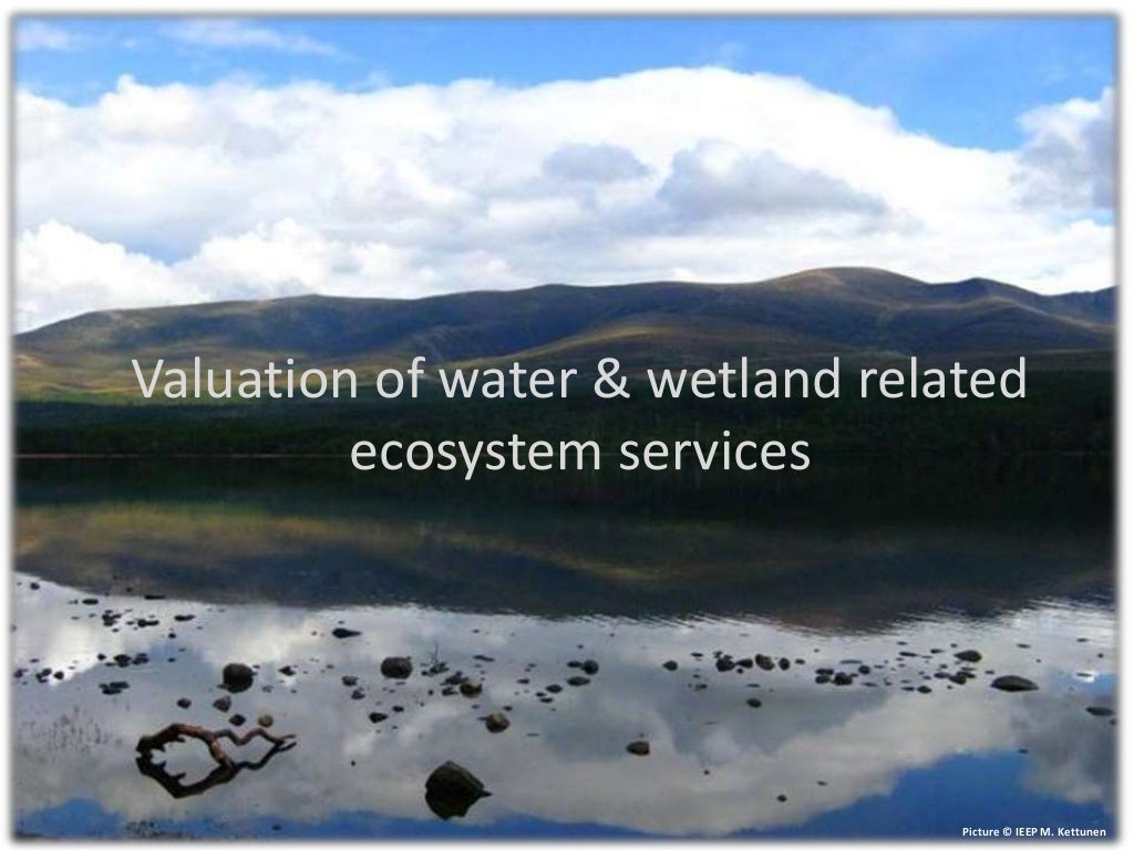 Water wetlands ecosystem services