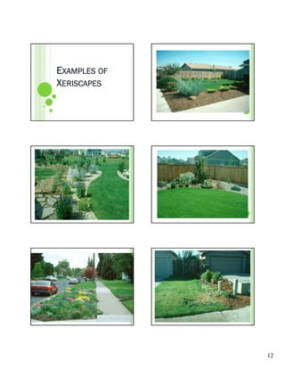 EXAMPLES OF
XERISCAPES




              12
 