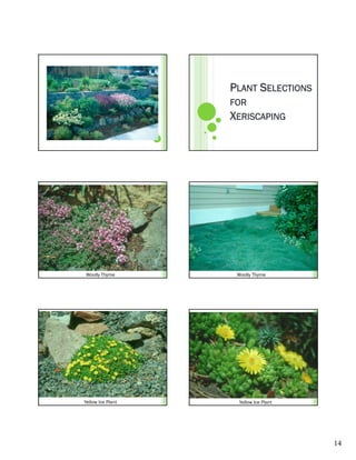 PLANT SELECTIONS
                   FOR
                   XERISCAPING




Woolly Thyme        Woolly Thyme




Yellow Ice Plant    Yellow Ice Plant




                                       14
 