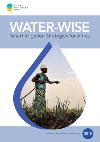 A Malabo Montpellier Panel Report    2018
WATER-WISESmart Irrigation Strategies for Africa
 