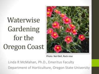 Waterwise
Gardening
for the
Oregon Coast
Linda R McMahan, Ph.D., Emeritus Faculty
Department of Horticulture, Oregon State University
Photo: Neil Bell, Rock rose
 