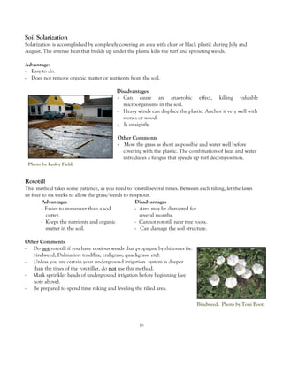 Soil Solarization
Solarization is accomplished by completely covering an area with clear or black plastic during July and
August. The intense heat that builds up under the plastic kills the turf and sprouting weeds.

Advantages
- Easy to do.
- Does not remove organic matter or nutrients from the soil.

                                          Disadvantages
                                          - Can cause an anaerobic effect, killing valuable
                                            microorganisms in the soil.
                                          - Heavy winds can displace the plastic. Anchor it very well with
                                            stones or wood.
                                          - Is unsightly.

                                           Other Comments
                                           - Mow the grass as short as possible and water well before
                                             covering with the plastic. The combination of heat and water
                                             introduces a fungus that speeds up turf decomposition.
 Photo by Lesley Field.


Rototill
This method takes some patience, as you need to rototill several times. Between each tilling, let the lawn
sit four to six weeks to allow the grass/weeds to re-sprout.
         Advantages                                  Disadvantages
         - Easier to maneuver than a sod             - Area may be disrupted for
           cutter.                                     several months.
         - Keeps the nutrients and organic           - Cannot rototill near tree roots.
           matter in the soil.                       - Can damage the soil structure.

Other Comments
- Do not rototill if you have noxious weeds that propagate by rhizomes (ie.
   bindweed, Dalmation toadflax, crabgrass, quackgrass, etc).
- Unless you are certain your underground irrigation system is deeper
   than the tines of the rototiller, do not use this method.
- Mark sprinkler heads of underground irrigation before beginning (see
   note above).
- Be prepared to spend time raking and leveling the tilled area.

                                                                                Bindweed. Photo by Toni Boot.



                                                     16
 