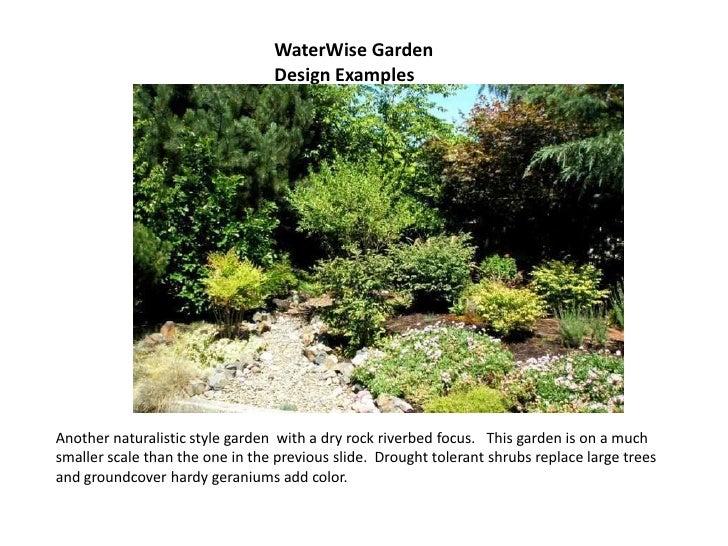 Waterwise Garden Styles (Pp Tminimizer)