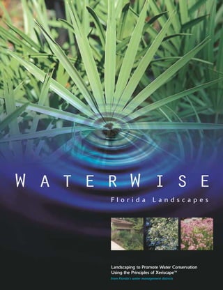 W A T E R W I S E
        Florida                    Landsc apes




        Landscaping to Promote Water Conservation
        Using the Principles of Xeriscape™
        from Florida’s water management districts
 