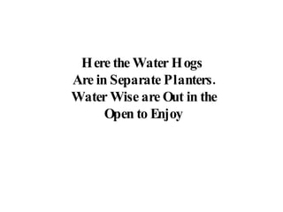 Here the Water Hogs  Are in Separate Planters. Water Wise are Out in the Open to Enjoy 