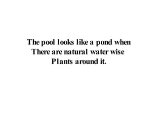 The pool looks like a pond when There are natural water wise  Plants around it. 