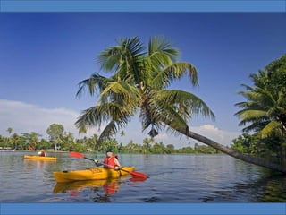 The Water World - Kerala, Kumarakom, Aleppey, Kochi