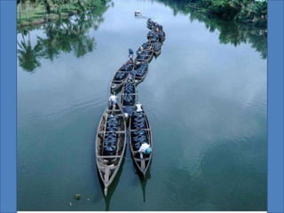 The Water World - Kerala, Kumarakom, Aleppey, Kochi
