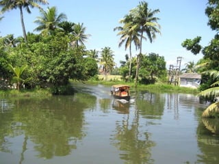 The Water World - Kerala, Kumarakom, Aleppey, Kochi