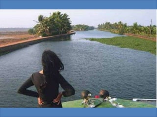 The Water World - Kerala, Kumarakom, Aleppey, Kochi