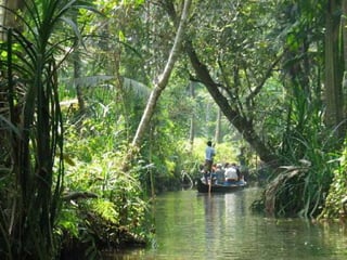 The Water World - Kerala, Kumarakom, Aleppey, Kochi