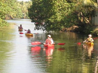 The Water World - Kerala, Kumarakom, Aleppey, Kochi