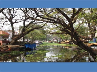 The Water World - Kerala, Kumarakom, Aleppey, Kochi