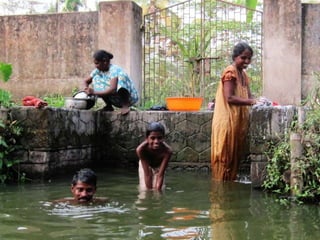 The Water World - Kerala, Kumarakom, Aleppey, Kochi