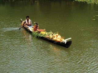 The Water World - Kerala, Kumarakom, Aleppey, Kochi