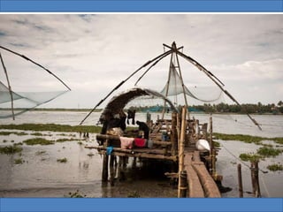 The Water World - Kerala, Kumarakom, Aleppey, Kochi