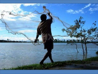 The Water World - Kerala, Kumarakom, Aleppey, Kochi